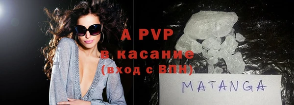 шишки Абаза