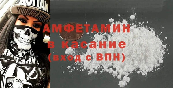 шишки Абаза