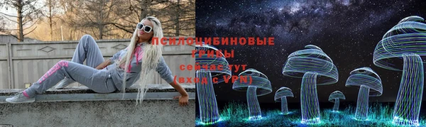 молекула духа Абинск