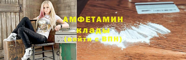 шишки Абаза