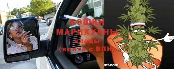 шишки Абаза