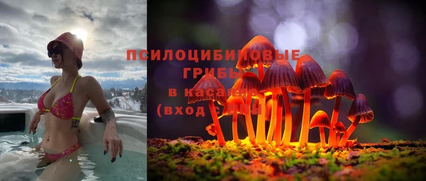 индика Алексеевка